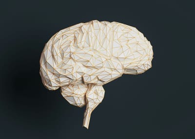 Inside the Clockwork of an AI’s Mind